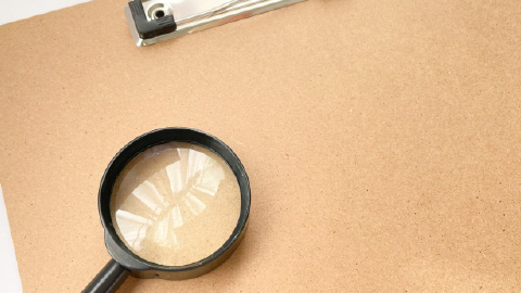 チェックされるポイント